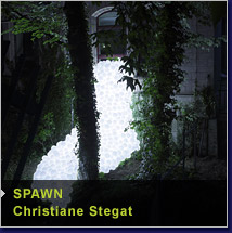 spawn